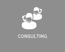 Consulting